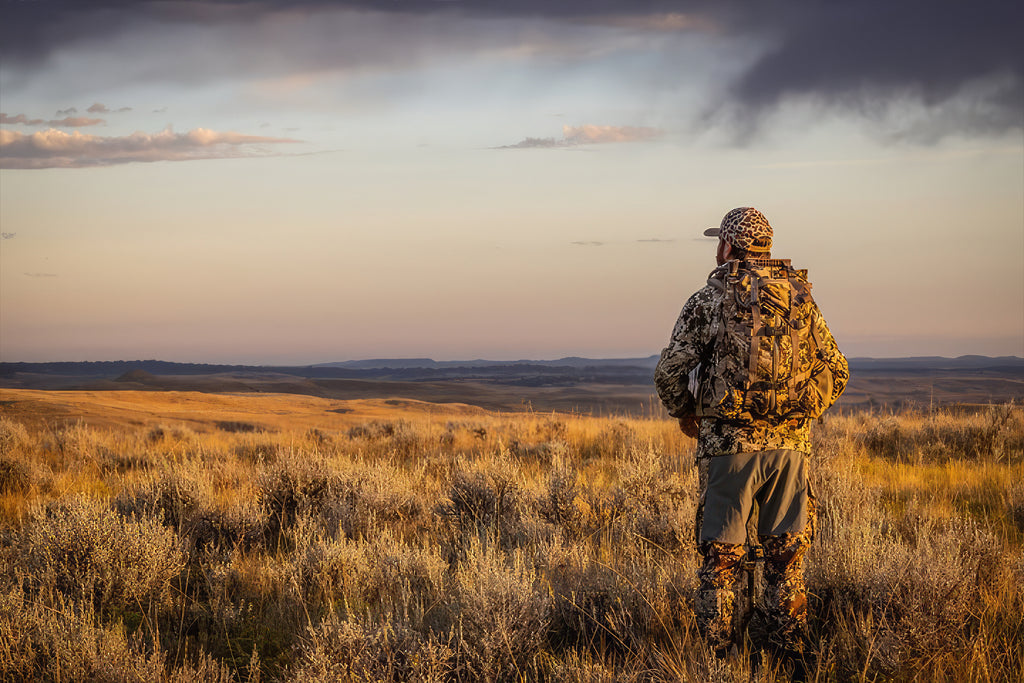 The Harvest – DiamondBack Covers